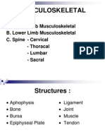 Musculoskeletal Rehabilitation