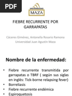 Fiebre Recurrente Por Garrapatas