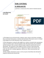 Skeletal Motor Control Hierarchy