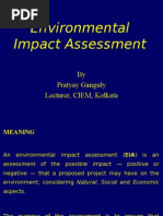 Environmental Impact Assessment