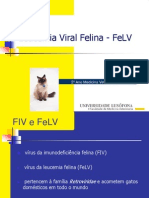 Fe LV