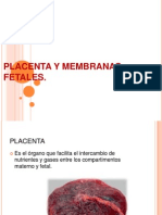 Placenta y Membranas Fetales