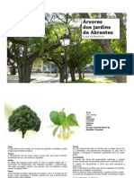 Classificação Das Árvores Jardins Abrantes