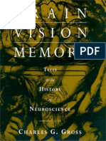 Brain, Vision, Memory