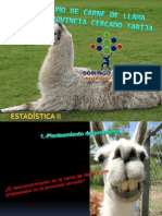 El Consumo de Carne de Llama en La