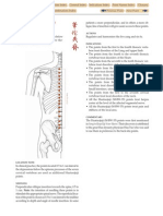 Huatuojiaji (M-Bw-35) : Hua Tuo's Paravertebral Points