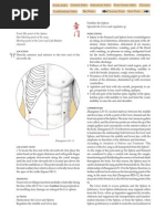 Zhangmen Liv-13: Completion Gate