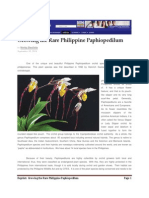 MB Article Growing The Rare Philippine Paphiopedilum