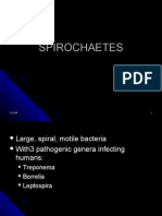 Spirochaetes