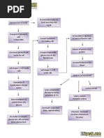 Pathophysiology of Diabetic Ketoacidosis