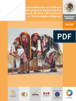 6.recomendaciones Con Enfoque Intercultural para La Prevencion Del Consumo de Alcohol Y Alcoholismo en Comunidades Indigenas