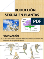 Sem 15 Reproducción Sexual y Vegetativa en Plantas - Metamorfosis