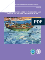 Field Identification Guide To The Sharks and Rays of The Red Sea and Gulf of Aden