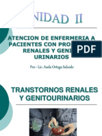 Enfermedades Genitourinarias y Renales