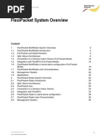 FlexiPacket System Overview - Doc