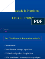 Glucides (NXPowerLite)