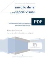 DESARROLLO DE LA EFICIENCIA VISUAL Nadia Yael Morales RGZ PDF