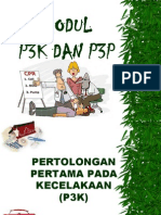 Modul P3K Dan P3P