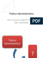 Traktus Spinotalamikus