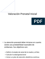 Valoración Prenatal Inicial