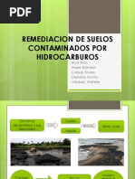 Remediacion de Suelos Contaminados Por Hidrocarburos