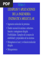 Tema 5 Ingenieria Molecular Enzimas