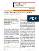 Regulation of Bone Destruction in Rheumatoid Arthritis Through RANKL-RANK Pathways