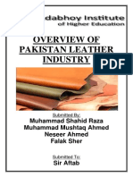 Overview of Pakistani Leather Industry PDF