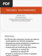 Racines Rachidiennes