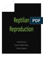 Reptile Reproduction