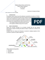 Energy Flow in The Ecosystem