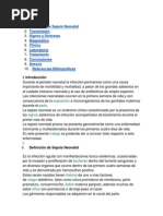 Definición de Sepsis Neonatal