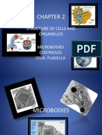 Biology Notes On Microbodies Flagella and Cilia