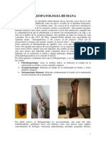 Paleopatologia 2013-03-26 1