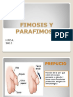 Fimosis y Parafimosis