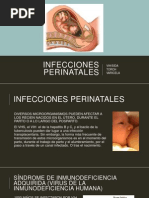 Infecciones Perinatales