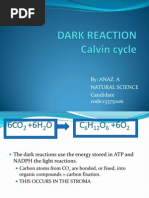 Dark Reaction