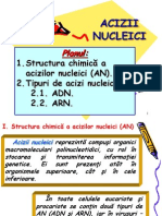 Acizii Nucleici