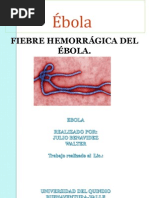 Ebola