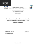 La Justicia en La Aplicación Del Derecho A Las Minorías, A Los Grupos Vulnerables y A Los Pueblos Indígenas