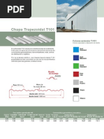 Chapa T101
