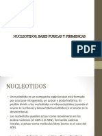 Nucleotidos Bases Puricas y Pirimidicas1