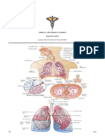 Respiratory Nursing #1