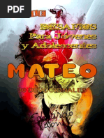 Desafios para Jóvenes y Adolescentes Mateo PDF