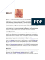 PARASITOLOGIA