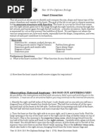 Heart Dissection, Lab Report Guide