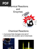 Enzymes and Chemical Reactions