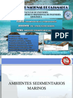 Ambientes Sedimentarios Marinos