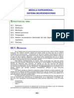 Paraganglios PDF