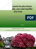 15 Arbres Parmi Les Plus Beaux1.pps